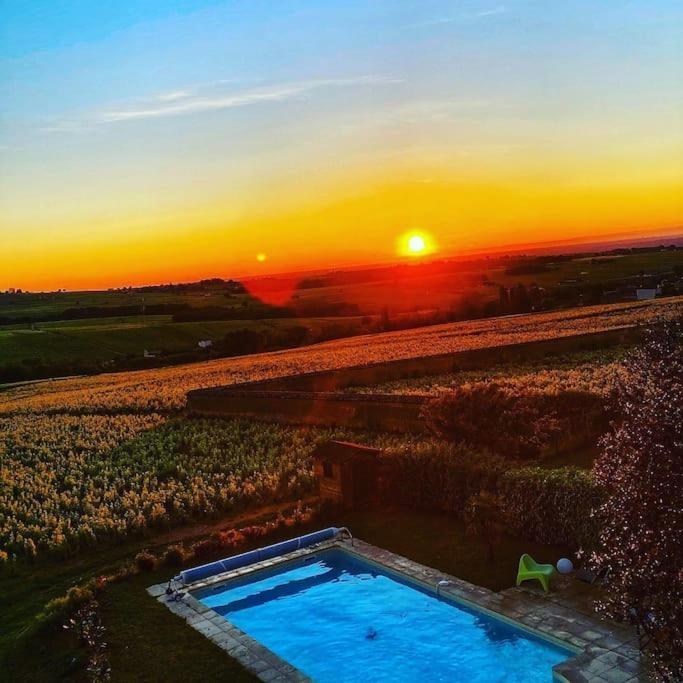 Au Coeur Des Vignes Moulin A Vent Apartment La Chapelle-de-Guinchay Luaran gambar
