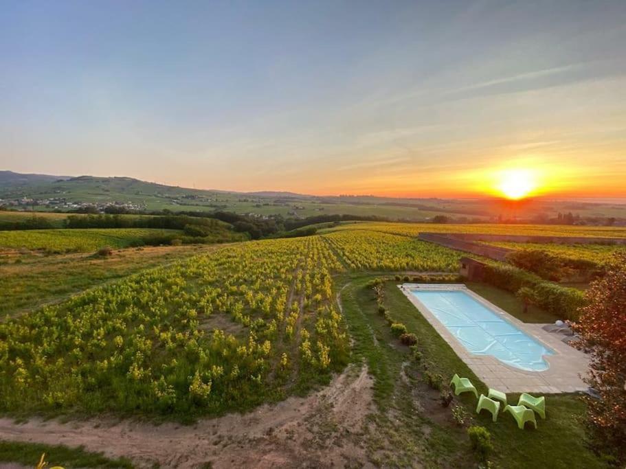 Au Coeur Des Vignes Moulin A Vent Apartment La Chapelle-de-Guinchay Luaran gambar